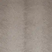 24203075 - BETULLA